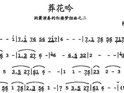 葬花吟 洞箫演奏的红楼梦组曲之二